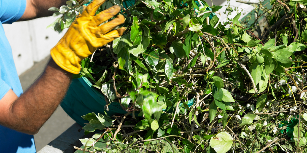 Yard Waste Dumpster Rentals in Riverside